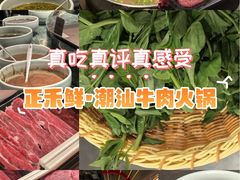 -正禾鲜·潮汕牛肉火锅(凯德天府店)