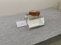 -抚顺煤矿博物馆