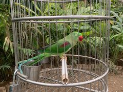 -南宫五洲植物乐园