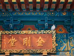 -西安大兴善寺