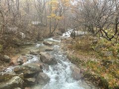 -玉渡山自然风景区