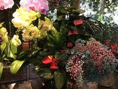 -宝鸡东道花鸟鱼虫市场(吉利花园商场店)