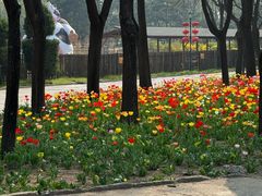 -北京世界公园
