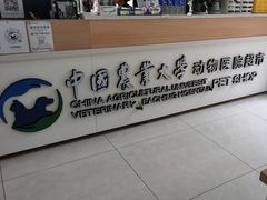 -中国农业大学动物医院