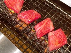 -俺的焼肉(銀座9丁目店)