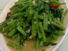 炒空心菜-澳门陈光记烧味饭店(郎家园店)