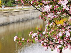 -海棠花溪(元大都城垣遗址公园)