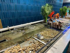 -伍棵煋炭烤自助料理·烤鳗鱼(浦东食品城店)