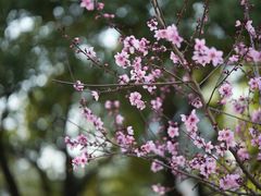 -苏州河梦清园环保主题公园