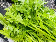 -大菊西丰老式煎肉(红旗路店)