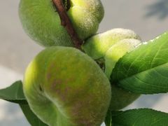 -雅达·阳羡溪山小镇中心