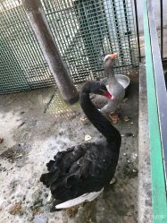 -蓝可可亲子乐园(北苑店)
