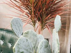 -十一咖啡(青年大街工厂店)