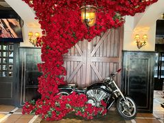 -碧特博格啤酒花园餐厅(芜湖路店)