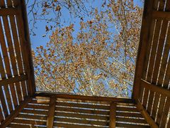 -春晖园度假酒店温泉