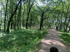 -西溪南古村落