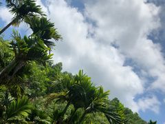 -呀诺达热带雨林