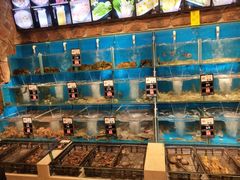水产区-苏大嘴海鲜牧场(奥林匹克店)