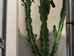 -范儿·嫂子烤肉·精致炭火烤肉(长治路店)