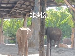 -上海野生动物园