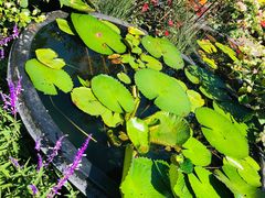 -西湖外事游船(湖滨二公园外事游船码头)