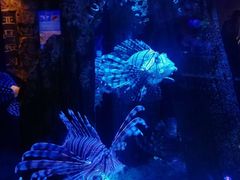 -成都浩海立方海洋公园