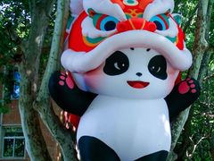 -西安电影制片厂