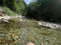 -秦岭风景区