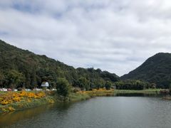 -广州市石门国家森林公园