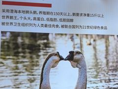 -陆记鹅庄·潮汕菜·狮头鹅(大仟里店)