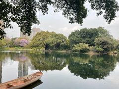 -晓港公园