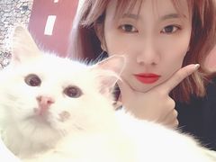 -猫咪咖啡店(新城大街店)