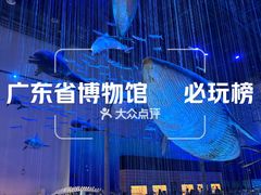 -广东省博物馆