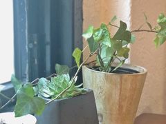 -如禾素食·下午茶·糖水