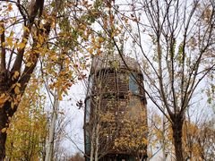 -武清南湖绿博园