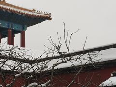 -故宫博物院(故宫)
