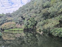 -蜜雪冰城(浙江大学店)