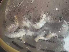 -王潮活海鲜自助·蒸汽海鲜