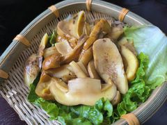 -滇野云南野生菌餐厅(陕西南路店)
