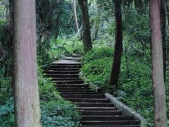 -都江堰普照寺