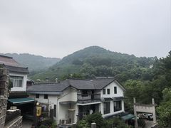 -龙井村