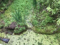 -西湖风景区-江洋畈生态公园