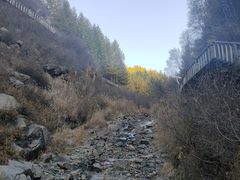 -苏木山森林公园