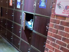 -长藤鬼校(龙翔店)