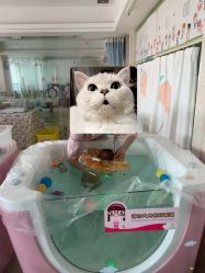 -宝媛会月子中心(越秀店)