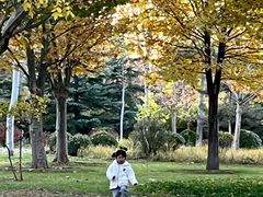 -燕郊植物园