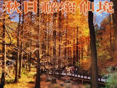 -沉浸北京·团建旅行·密室剧本杀·年会会议轰趴拓展