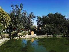 -静之湖湖畔餐厅