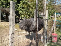 -新塘水果乐园(东洲大道店)