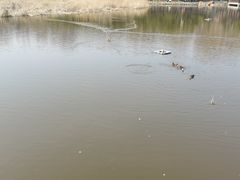-前关湿地公园
